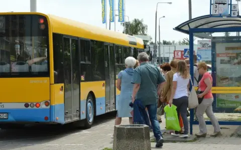 Ludzie czekają na autobus w Skierniewicach. Sprawdzają mzk rozkład jazdy, by wiedzieć, kiedy odjedzie.