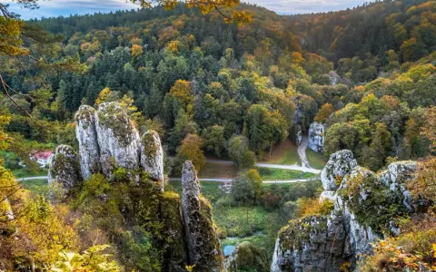 Jesienne barwy w Ojcowskim Parku Narodowym. Wapienne skały porośnięte mchem i jesienną roślinnością, otoczone lasem w odcieniach złota i zieleni.
