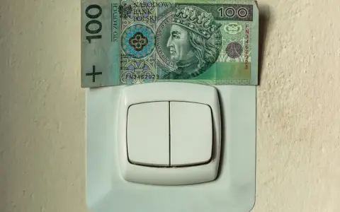 Sto złotych na włączniku światła symbolizuje opłatę sieciową zmienną całodobową.