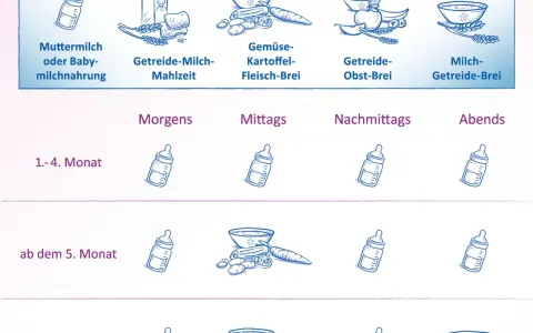 Ernährungsplan für Babys: Muttermilch, Brei (Gemüse, Obst) und Milch-Getreide-Brei für verschiedene Monate und Tageszeiten.