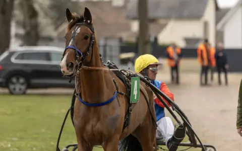 Un trotteur français, numéro 4, prêt pour la course, avec son driver en tenue de course jaune et bleue.