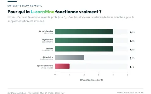 Graphique montrant l'effet de la L-carnitine : plus les stocks sont bas, plus l'efficacité est grande. Idéal pour sèche intensive, végétariens et seniors.