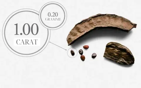 Il carrubo, da cui deriva il carato, mostra quanto è grande un carato: 1.00 carato equivale a 0.20 grammi.