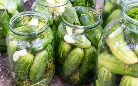 Słoiki pełne ogórków kiszonych lub kwaszonych, z dodatkiem czosnku i kopru, gotowe do fermentacji.