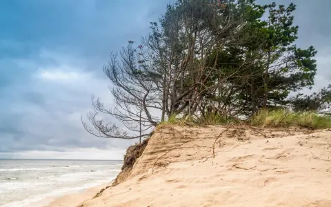 Piaszczysta wydma z sosnami, morze i chmury. To może być najpiękniejsza plaża w Polsce.