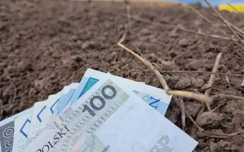 Pieniądze na ziemi, symbolizujące koszty rolnictwa. Zastanawiasz się, ile wynosi składka KRUS na kwartał?