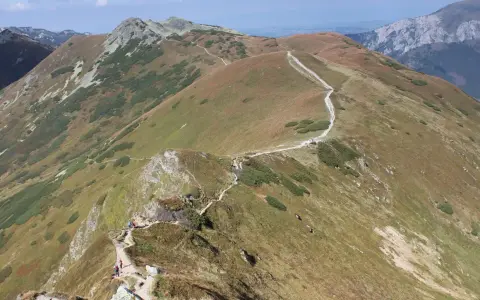 Szlak turystyczny wije się po zboczach Starorobociańskiego Wierchu, otoczony trawami i kosodrzewiną.