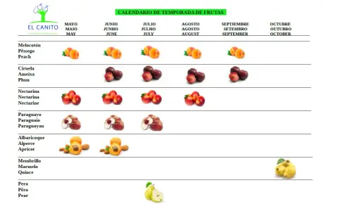 Calendario de temporada de frutas. El melocotón se muestra en mayo, junio, julio y agosto.