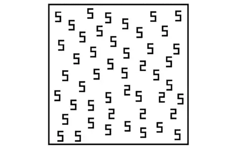 Un insieme di "5" e qualche "2" sparsi, un po' come la sinestesia significato, dove i sensi si mescolano.