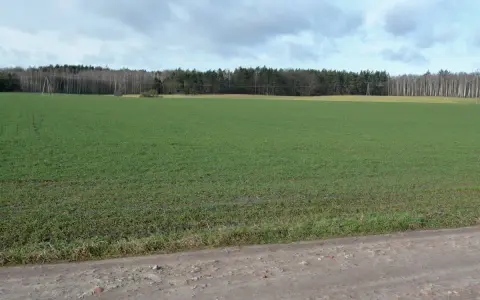 Co wybudować na działce rolnej? Poradnik dla każdego inwestora