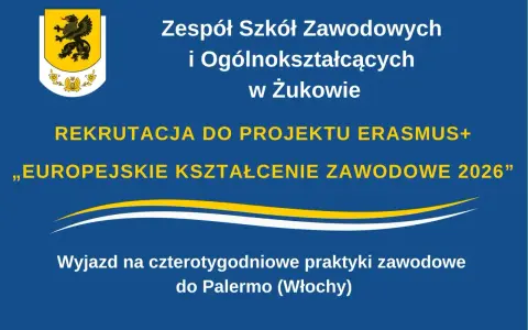 Dynia na obiad: 15+ łatwych i inspirujących przepisów na cały rok!