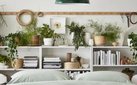 Estanterías llenas de plantas para el dormitorio, libros y objetos decorativos.