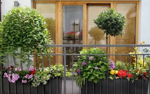 Kwiaty i drzewka na balkonie to świetny sposób, jak osłonić balkon w bloku. Kolorowe pelargonie, hortensje i bluszcz tworzą zieloną ścianę.