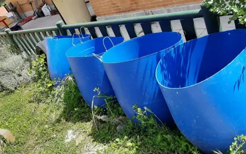 Cuatro grandes barriles azules listos para recoger agua de lluvia en el campo.