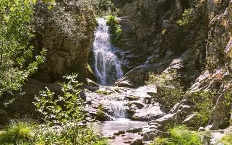 Cascada en un bosque frondoso, un ejemplo de los impresionantes espacios naturales de España.