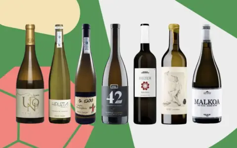 Seis botellas de vino blanco, algunas con etiquetas que sugieren ser vino típico de Bilbao, dispuestas sobre un fondo verde y rosa.