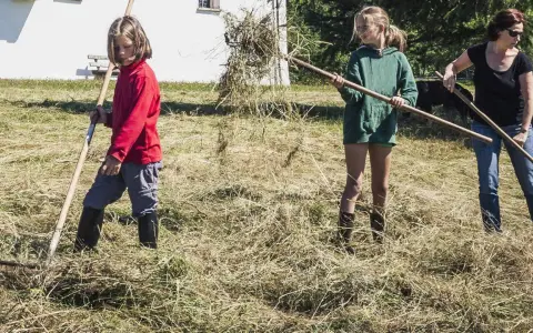 Kinderarbeit in Deutschland: Zwei Mädchen und eine Frau rechen Heu auf einer Wiese.