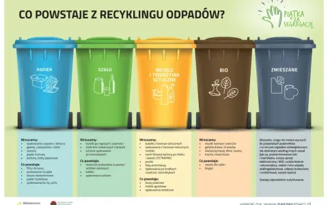 Gdzie wyrzucać puszki po piwie? Do żółtego pojemnika na metale i tworzywa sztuczne.
