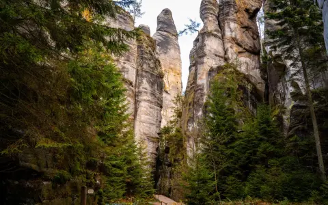 Ścieżka wśród skalnych gigantów w Broumovskich Stenach. Wysokie, piaszczyste formacje skalne otoczone zielonymi świerkami.