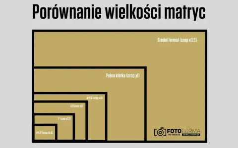 Porównanie rozmiarów matryc w aparatach: od średniego formatu po 1/2,3". Wykres pokazuje różnice w wielkości matryc.