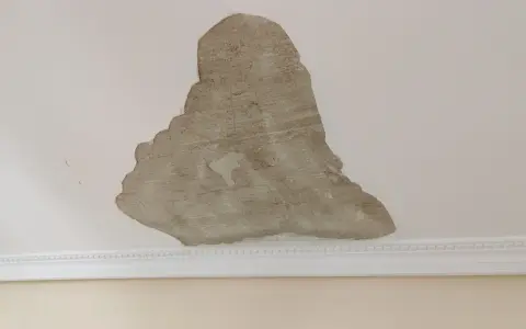 Techo con yeso muerto desprendiéndose, revelando el material subyacente. La moldura blanca decora la unión del techo y la pared.