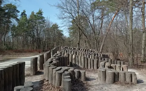 Drewniana instalacja artystyczna w lesie nad rzeką Świdrem. Kręte ścieżki z pni drzew tworzą labirynt.