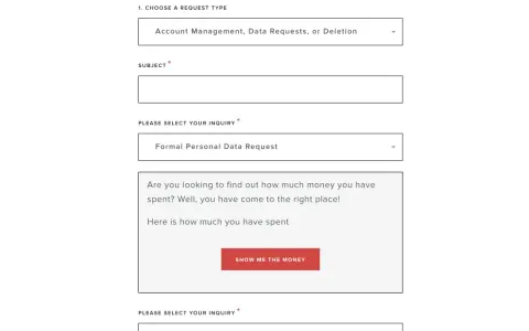 Formularz z opcjami wyboru typu zgłoszenia, pola na temat i zapytanie, z przyciskiem "SHOW ME THE MONEY".