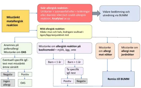 Flödesschema för misstänkt matallergisk reaktion hos bebis. Utredning av symtom, tester och remiss.