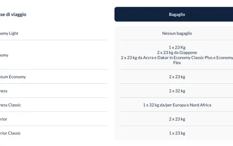Table showing ITA Airways baggage allowances for different travel classes, including weight and quantity.