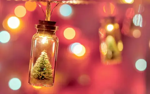 Luces de Navidad en frascos con mini árboles. ¿Cuánto consumen las luces de Navidad?