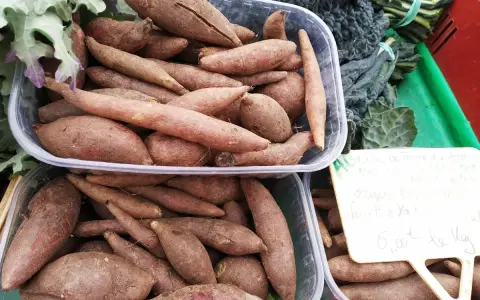 Poires de terre douces, parfaites pour une recette de purée ou de frites. Ces patates douces sont prêtes à être cuisinées.