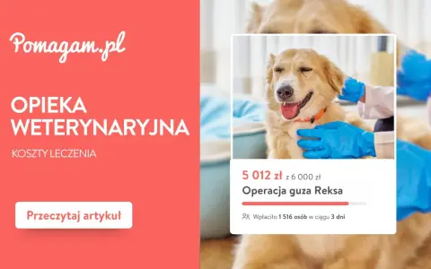 Pomagam.pl: Opieka weterynaryjna i koszty leczenia. Dowiedz się, ile kosztuje behawiorysta dla psa i jak pomóc.