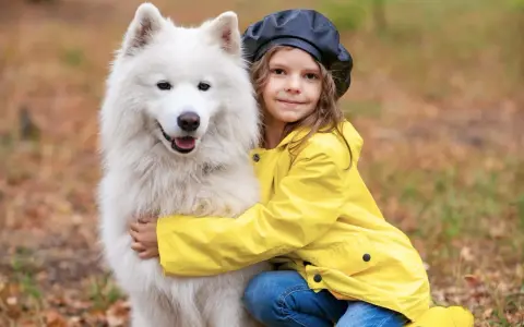 Dziewczynka w żółtej kurtce przytula puszystego samoyeda.