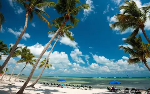 Palmen säumen einen weißen Sandstrand mit Liegestühlen und blauen Sonnenschirmen am türkisfarbenen Meer unter blauem Himmel.