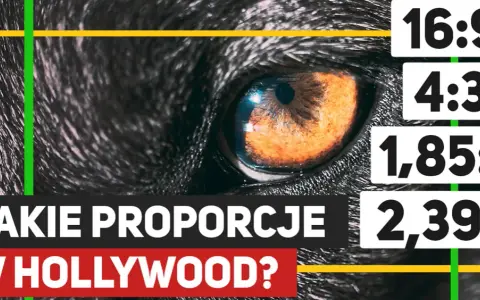 Jak zrobić zdjęcie z filmu? Klatka 4K krok po kroku!