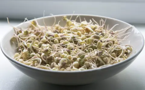 Una ciotola piena di germogli di soia freschi e croccanti, pronti per insalate o piatti saltati in padella.