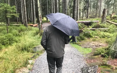 Mann mit Regenschirm im Wald. Die drohnen wetter app hat Regen vorhergesagt, also ist er vorbereitet.