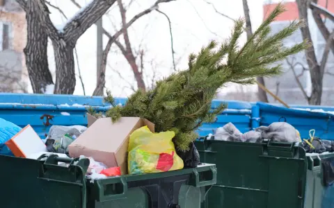 Po świętach czas na porządki. Gdzie wyrzucić sztuczną choinkę? W tym przypadku zielona gałązka trafiła do śmietnika.