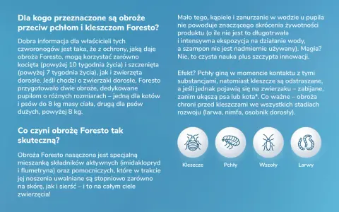 Obroża na kleszcze: Foresto, Kiltix, Sabunol którą wybrać?