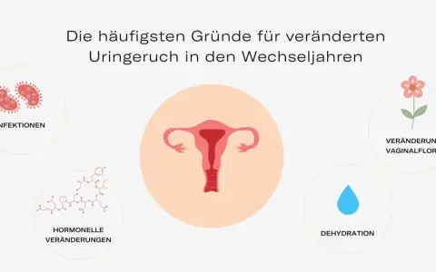 Hormonelle Veränderungen, Infektionen, Dehydration und veränderte Vaginalflora können dazu führen, dass Urin riecht.