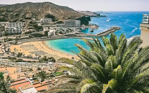 Widok na zatokę z plażą, hotelem i palmami. Zastanawiasz się, ile się leci na Wyspy Kanaryjskie?