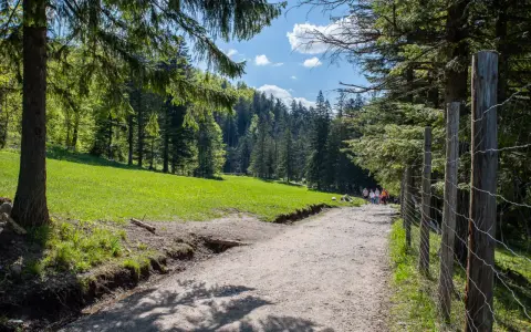 Bacówka na Polanie Biały Potok: Skosztuj Tatr! Sery, dojazd, porady