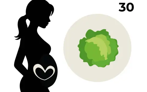 Silhouette einer schwangeren Frau mit einem Herzsymbol auf dem Bauch. Daneben ein Kohlkopf und die Zahl 30, die 30 ssw symbolisiert.