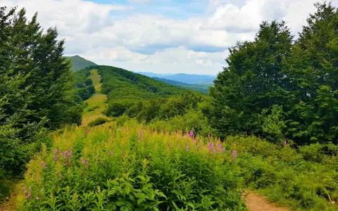Twój przewodnik po Dworku Sanockim: Menu, noclegi, imprezy, Bieszczady