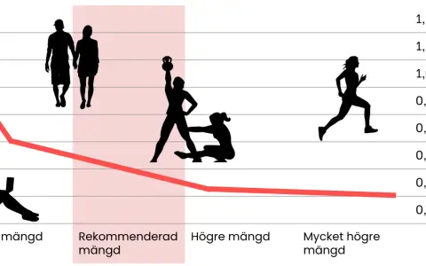 Graf visar hur en aktiv livsstil, som helkroppspass 2 gånger i veckan, kan påverka olika mått. Från lägre mängd till mycket högre mängd.