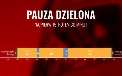 Ile godzin może jechać kierowca autokaru? Poznaj ważne przepisy