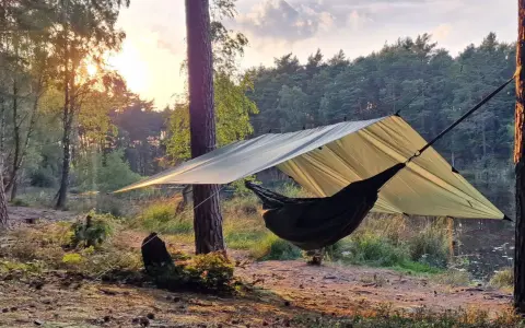 En hängmatta hänger under ett stort vindskydd presenning i en skog vid solnedgången.