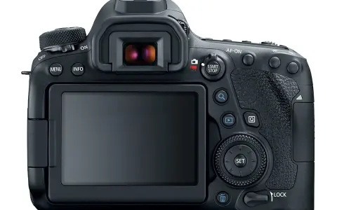 Arrière d'un appareil photo reflex numérique Canon 7D Mark III, avec écran LCD, viseur et boutons de commande.