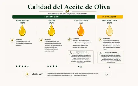 Comparativa de aceites de oliva: virgen extra, virgen, de oliva y orujo. Cada uno con su extracción y características.