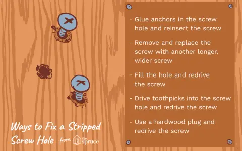 Illustration showing how to get a stripped screw out of wood using various methods like glue anchors, toothpicks, or a hardwood plug.